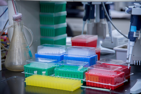 A picture in a lab of laboratory equipment like flasks and pipette wells.